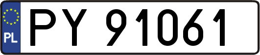 PY91061