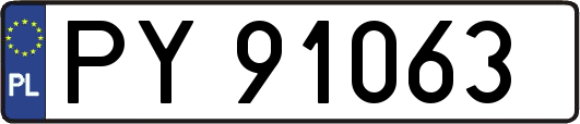 PY91063
