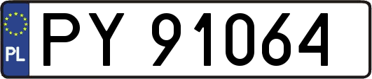 PY91064