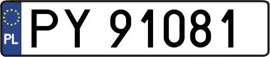 PY91081