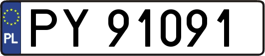 PY91091