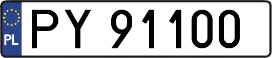 PY91100