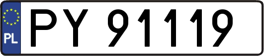 PY91119