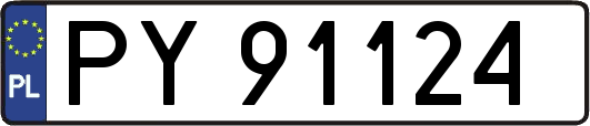PY91124