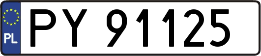 PY91125