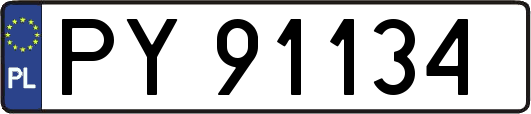 PY91134