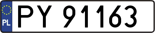 PY91163