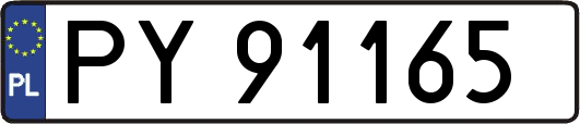 PY91165