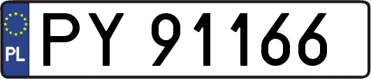 PY91166