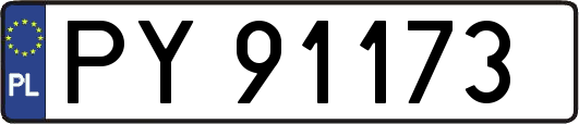 PY91173