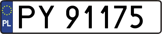 PY91175