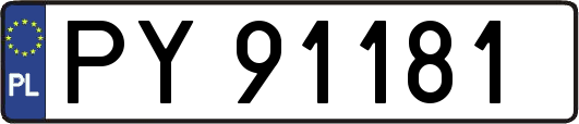 PY91181