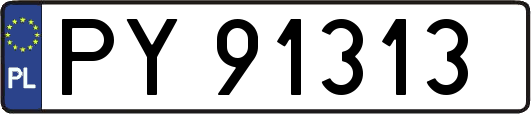 PY91313