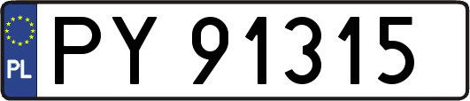 PY91315