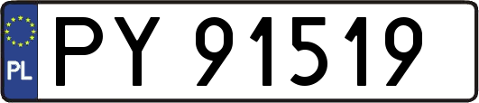 PY91519