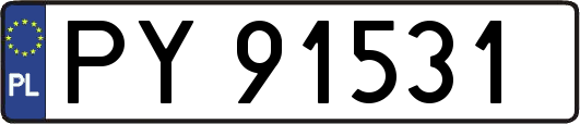 PY91531