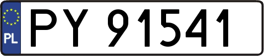 PY91541