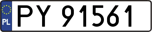 PY91561