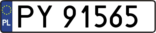 PY91565