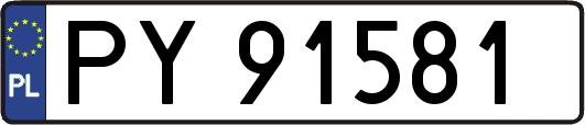 PY91581
