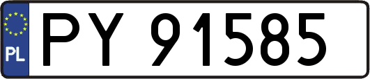 PY91585