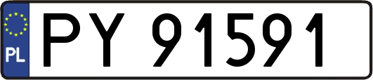 PY91591