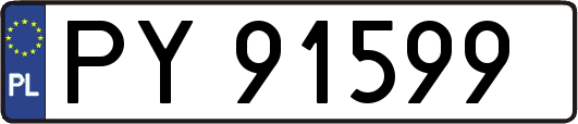 PY91599