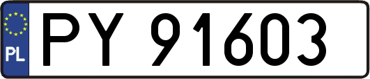 PY91603