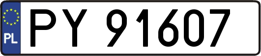 PY91607