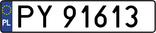 PY91613
