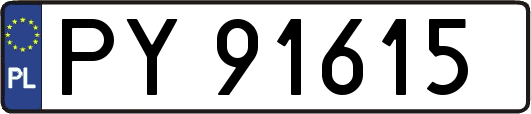 PY91615