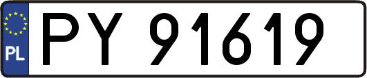 PY91619