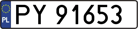 PY91653