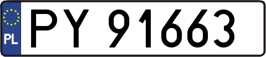 PY91663