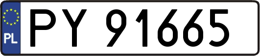 PY91665