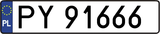 PY91666