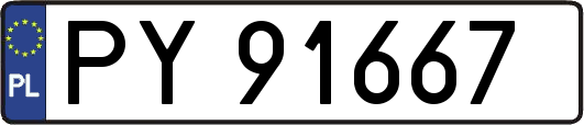 PY91667