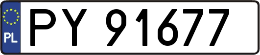 PY91677