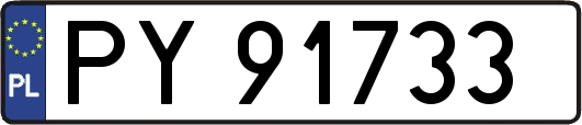 PY91733