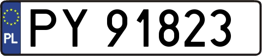PY91823