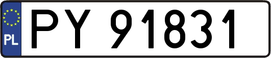 PY91831