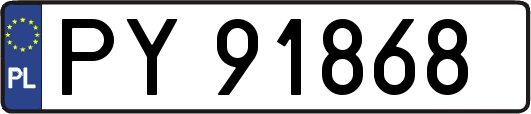PY91868