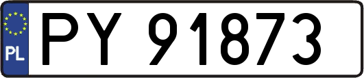 PY91873