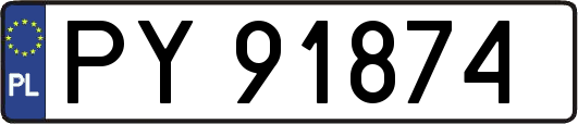 PY91874