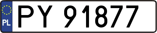 PY91877