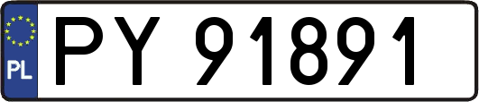 PY91891