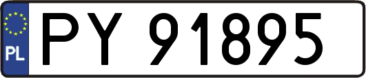 PY91895