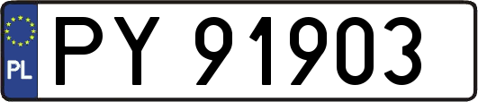 PY91903