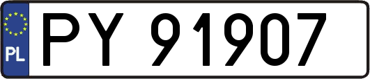 PY91907