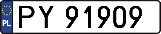 PY91909